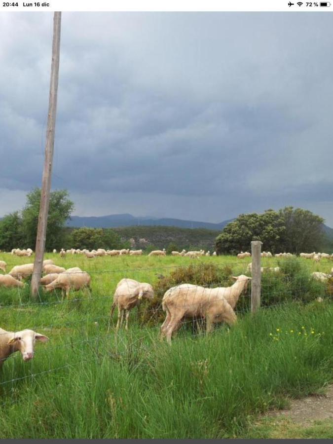 Vistas A La Montana En Un Pueblo Con Encanto. El Pueyo de Araguás エクステリア 写真