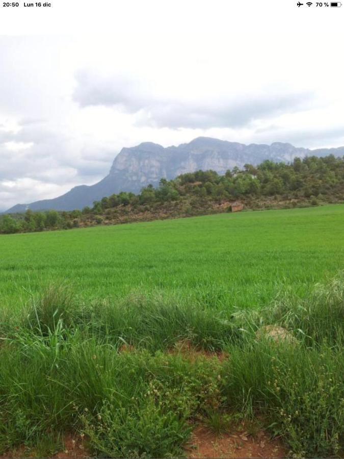 Vistas A La Montana En Un Pueblo Con Encanto. El Pueyo de Araguás エクステリア 写真