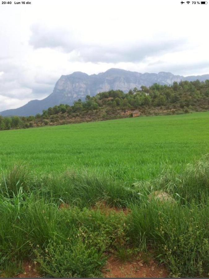Vistas A La Montana En Un Pueblo Con Encanto. El Pueyo de Araguás エクステリア 写真