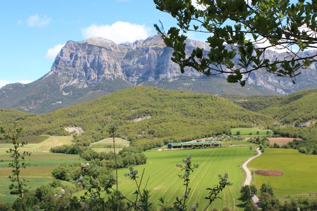 Vistas A La Montana En Un Pueblo Con Encanto. El Pueyo de Araguás エクステリア 写真