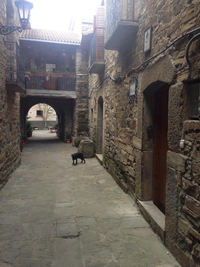 Vistas A La Montana En Un Pueblo Con Encanto. El Pueyo de Araguás エクステリア 写真